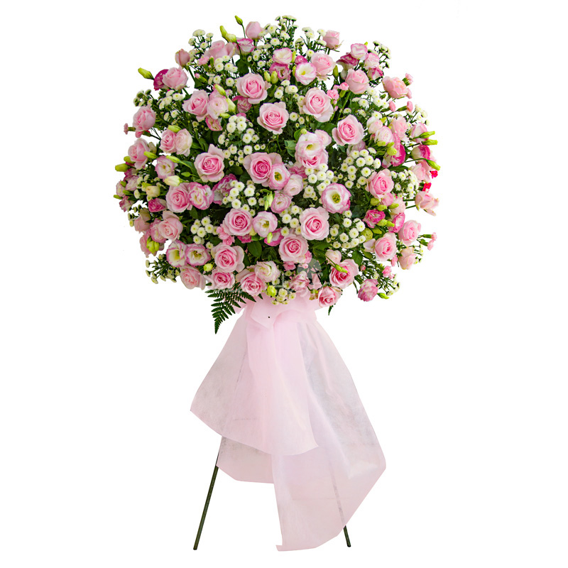 Pink Grace