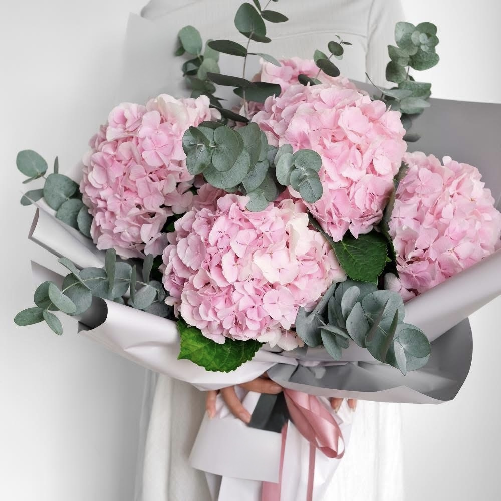 Rosy Hydrangea Love