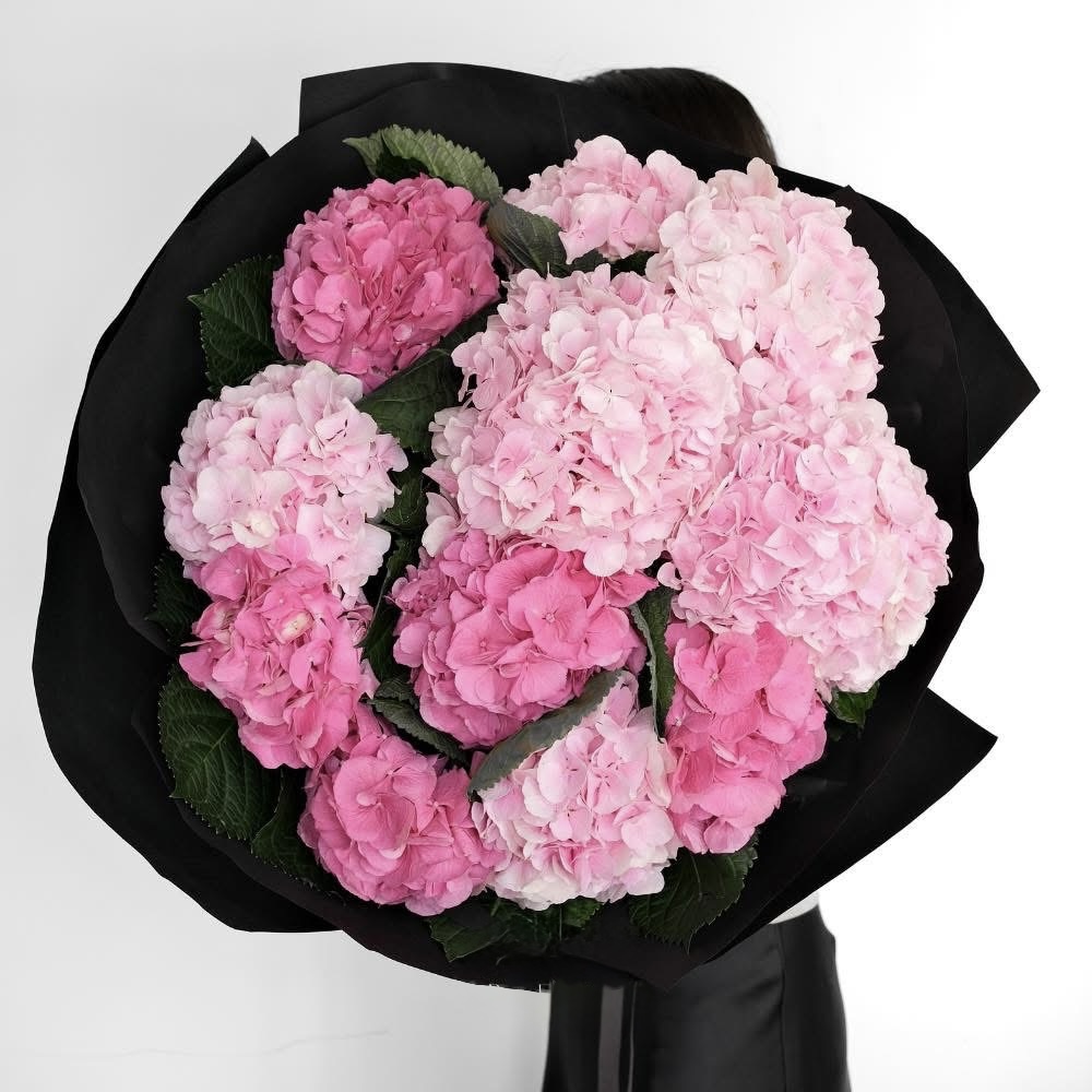 Crimson Romance Hydrangea