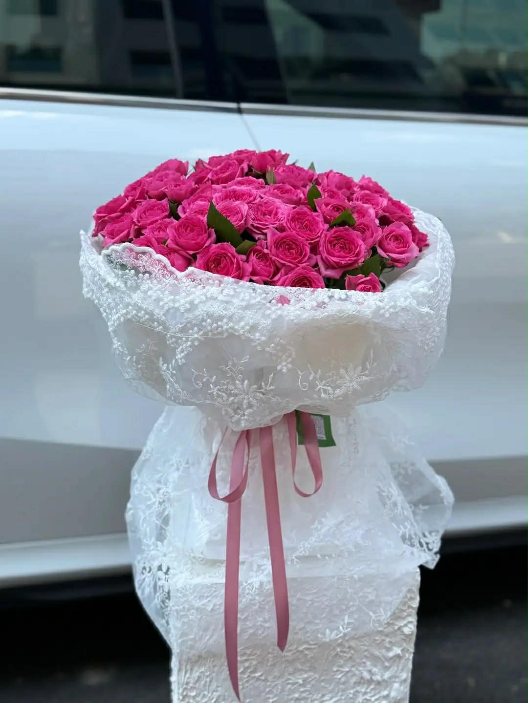 Sofia Romance