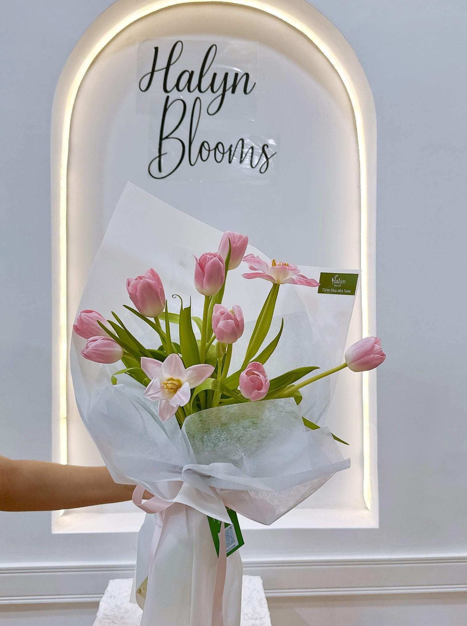 Pure Tulips ๐ค