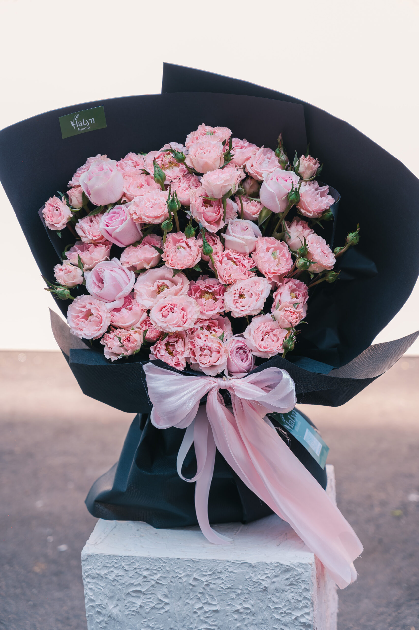 Soft Love