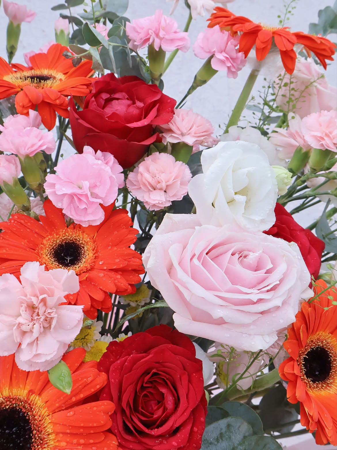 A Brilliant Beginning – Wishing You Prosperity ✨Far from traditional styles, this red opening fl (2) A Brilliant Beginning – Wishing You Prosperity ✨Far from traditional styles this red opening fl 2