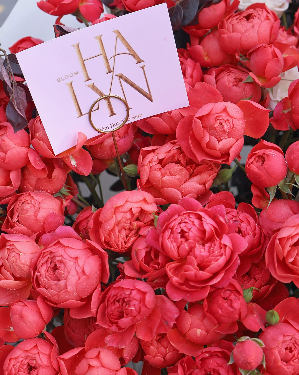 More than just a gift—a flower bouquet from Sam Floral is a silent promise of endless love. 🌹✨ (4) More than just a gift—a flower bouquet from Halyn Bloom is a silent promise of endless love. 🌹✨ 4